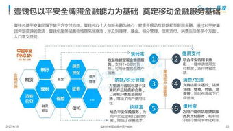 2017年中国移动金融市场专题分析 互联网信息技术服务驱动的变革与展望
