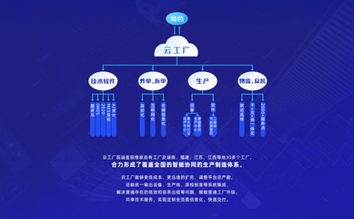 丽维家 打造互联网时代的木匠新标杆