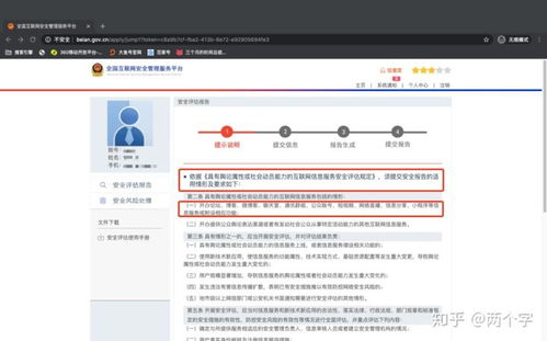 互联网信息服务与信息技术服务全攻略